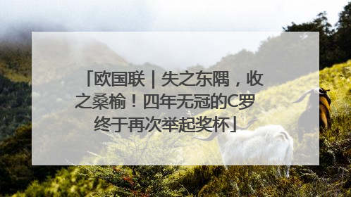 欧国联｜失之东隅，收之桑榆！四年无冠的C罗终于再次举起奖杯