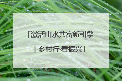 激活山水共富新引擎｜乡村行·看振兴