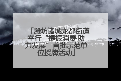 潍坊诸城龙都街道举行“提振消费·助力发展”首批示范单位授牌活动