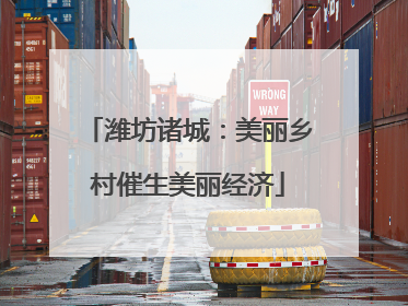潍坊诸城：美丽乡村催生美丽经济