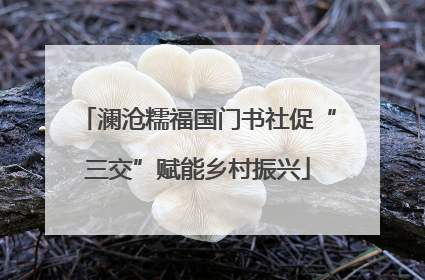 澜沧糯福国门书社促“三交”赋能乡村振兴