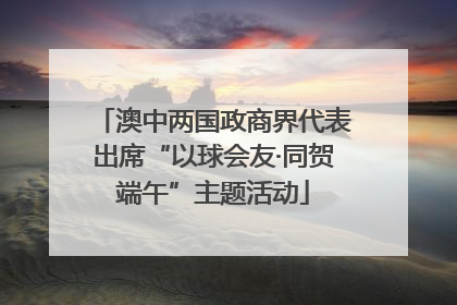 澳中两国政商界代表出席“以球会友·同贺端午”主题活动