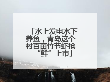水上发电水下养鱼，青岛这个村百亩竹节虾抢“鲜”上市