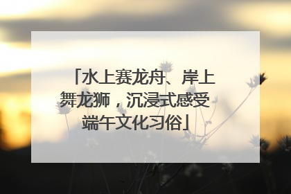 水上赛龙舟、岸上舞龙狮，沉浸式感受端午文化习俗
