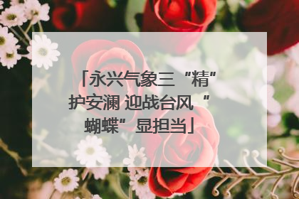 永兴气象三“精”护安澜 迎战台风“蝴蝶”显担当