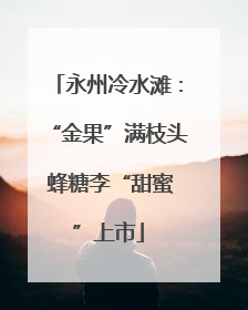 永州冷水滩：“金果”满枝头 蜂糖李“甜蜜”上市