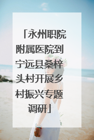 永州职院附属医院到宁远县桑梓头村开展乡村振兴专题调研