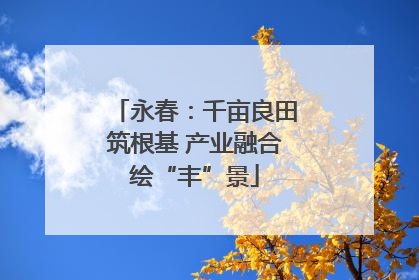 永春：千亩良田筑根基 产业融合绘“丰”景