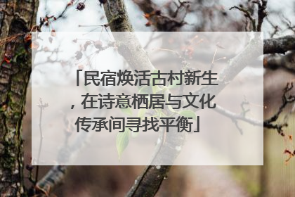 民宿焕活古村新生，在诗意栖居与文化传承间寻找平衡