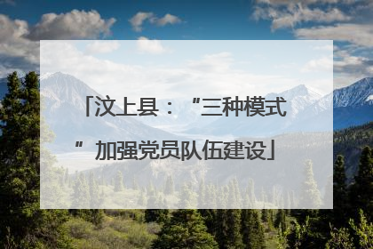 汶上县：“三种模式”加强党员队伍建设