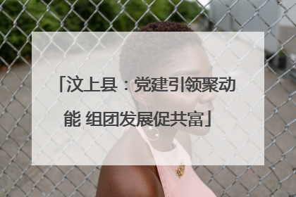 汶上县：党建引领聚动能 组团发展促共富