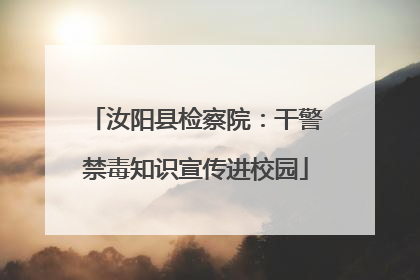 汝阳县检察院：干警禁毒知识宣传进校园