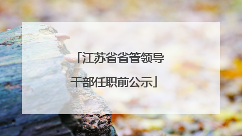 江苏省省管领导干部任职前公示