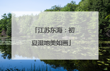 江苏东海：初夏湿地美如画