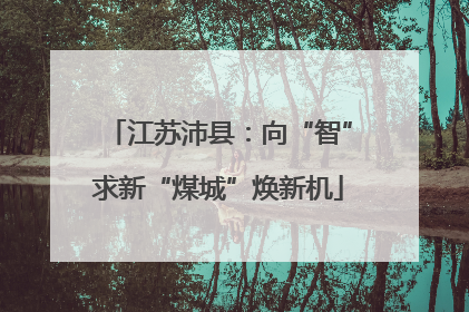 江苏沛县：向“智”求新“煤城”焕新机