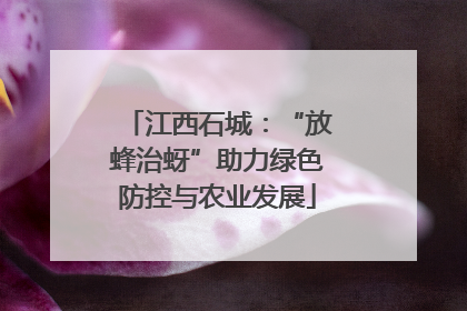 江西石城：“放蜂治蚜”助力绿色防控与农业发展