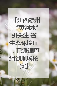 江西赣州“黄河水”引关注 省生态环境厅：已派调查组到现场核实