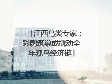 江西鸟类专家：彩鹮筑巢或撬动全年观鸟经济链