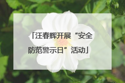 汪春辉开展“安全防范警示日”活动