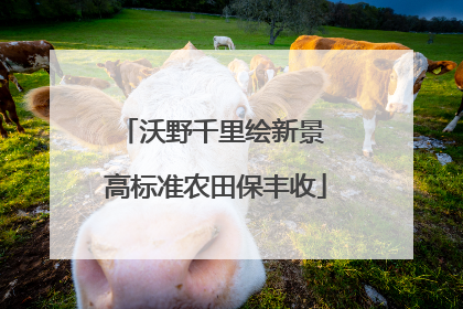 沃野千里绘新景 高标准农田保丰收