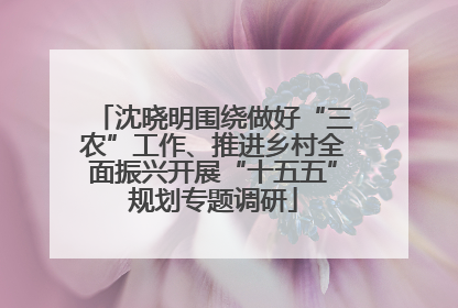 沈晓明围绕做好“三农”工作、推进乡村全面振兴开展“十五五”规划专题调研