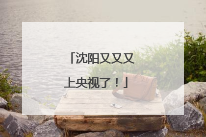 沈阳又又又上央视了！