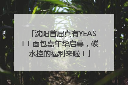 沈阳首届真有YEAST！面包嘉年华启幕，碳水控的福利来啦！
