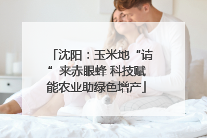 沈阳：玉米地“请”来赤眼蜂 科技赋能农业助绿色增产