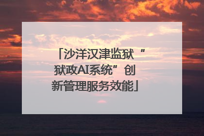 沙洋汉津监狱“狱政AI系统”创新管理服务效能