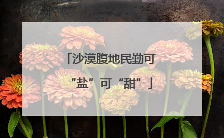 沙漠腹地民勤可“盐”可“甜”