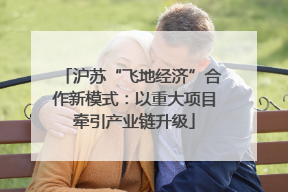 沪苏“飞地经济”合作新模式：以重大项目牵引产业链升级