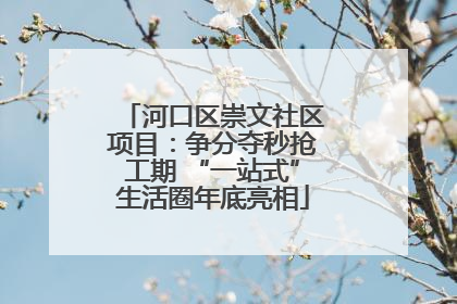 河口区崇文社区项目：争分夺秒抢工期 “一站式”生活圈年底亮相