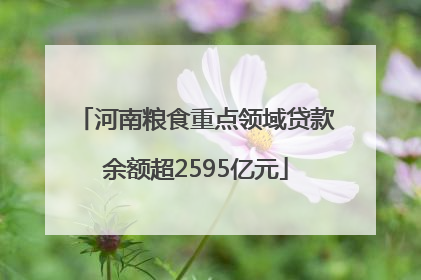 河南粮食重点领域贷款余额超2595亿元