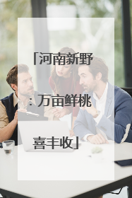 河南新野：万亩鲜桃喜丰收