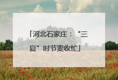 河北石家庄：“三夏”时节麦收忙