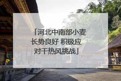 河北中南部小麦长势良好 积极应对干热风挑战