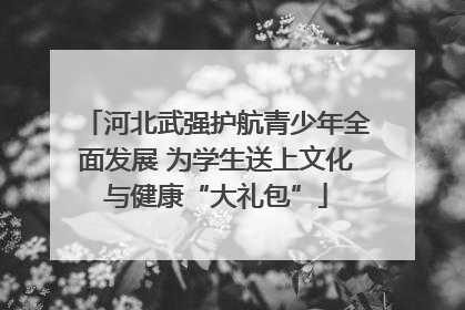 河北武强护航青少年全面发展 为学生送上文化与健康“大礼包”