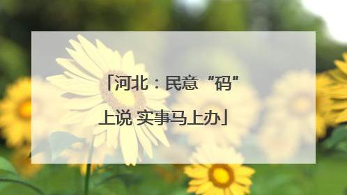 河北：民意“码”上说 实事马上办