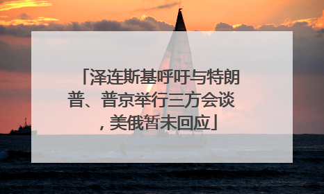 泽连斯基呼吁与特朗普、普京举行三方会谈，美俄暂未回应
