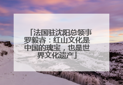 法国驻沈阳总领事罗毅睿：红山文化是中国的瑰宝，也是世界文化遗产