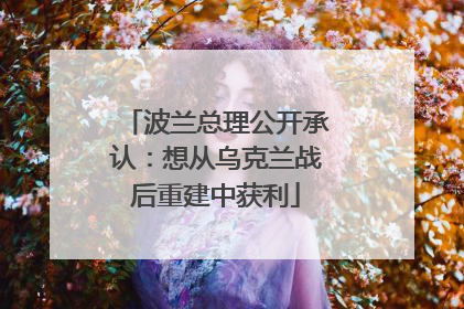 波兰总理公开承认：想从乌克兰战后重建中获利