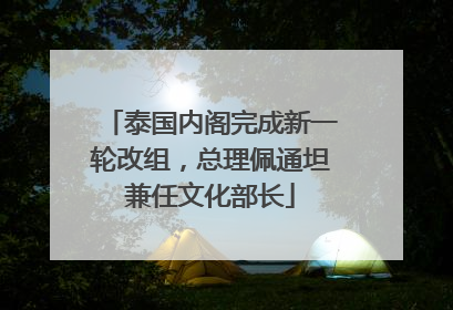泰国内阁完成新一轮改组，总理佩通坦兼任文化部长