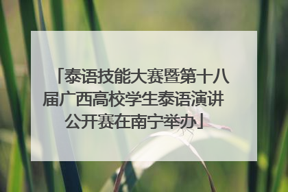 泰语技能大赛暨第十八届广西高校学生泰语演讲公开赛在南宁举办