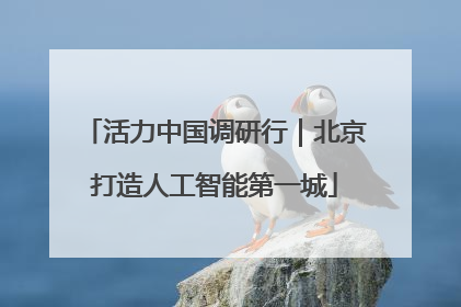 活力中国调研行｜北京打造人工智能第一城