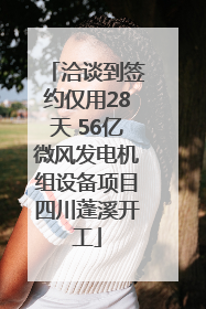 洽谈到签约仅用28天 56亿微风发电机组设备项目四川蓬溪开工