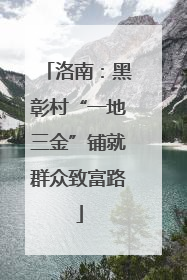 洛南：黑彰村“一地三金”铺就群众致富路