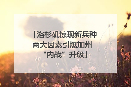 洛杉矶惊现新兵种 两大因素引爆加州“内战”升级