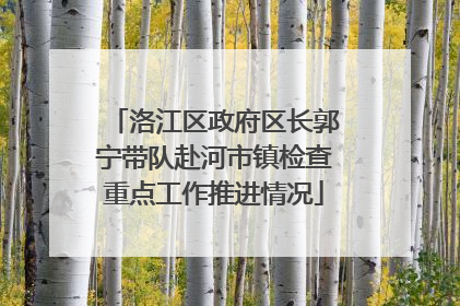 洛江区政府区长郭宁带队赴河市镇检查重点工作推进情况