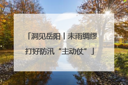 洞见岳阳丨未雨绸缪 打好防汛“主动仗”