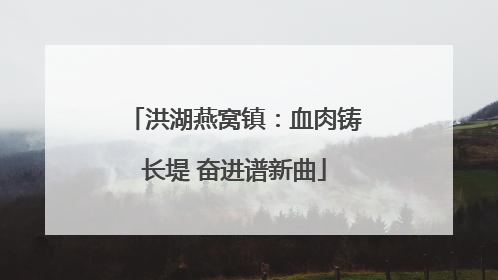 洪湖燕窝镇：血肉铸长堤 奋进谱新曲